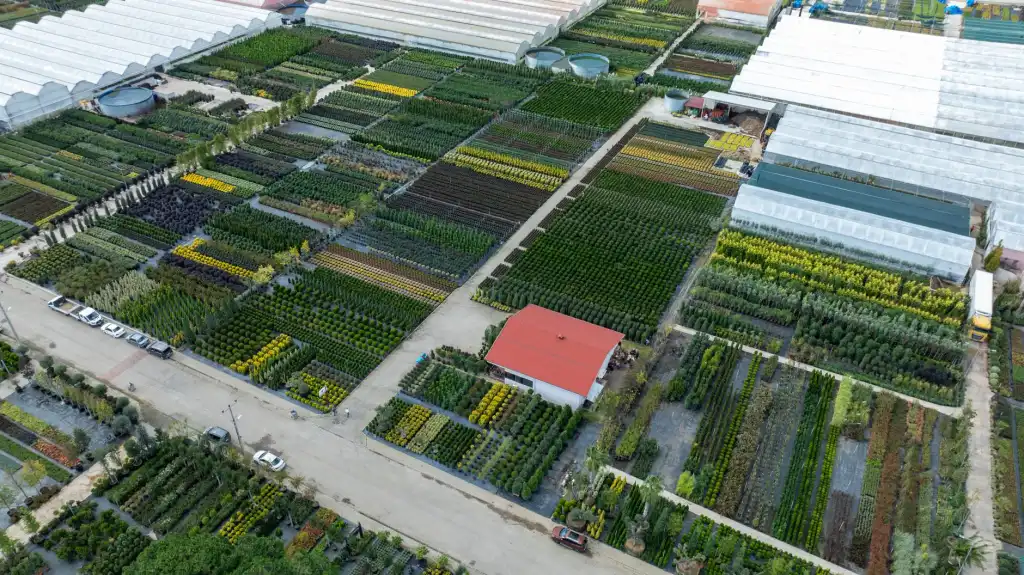 北京龙商行共享办公空间租赁服务细则与适用企业类型解析